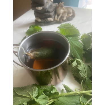 Nettles Tea